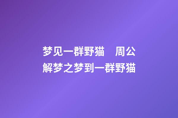 梦见一群野猫　周公解梦之梦到一群野猫